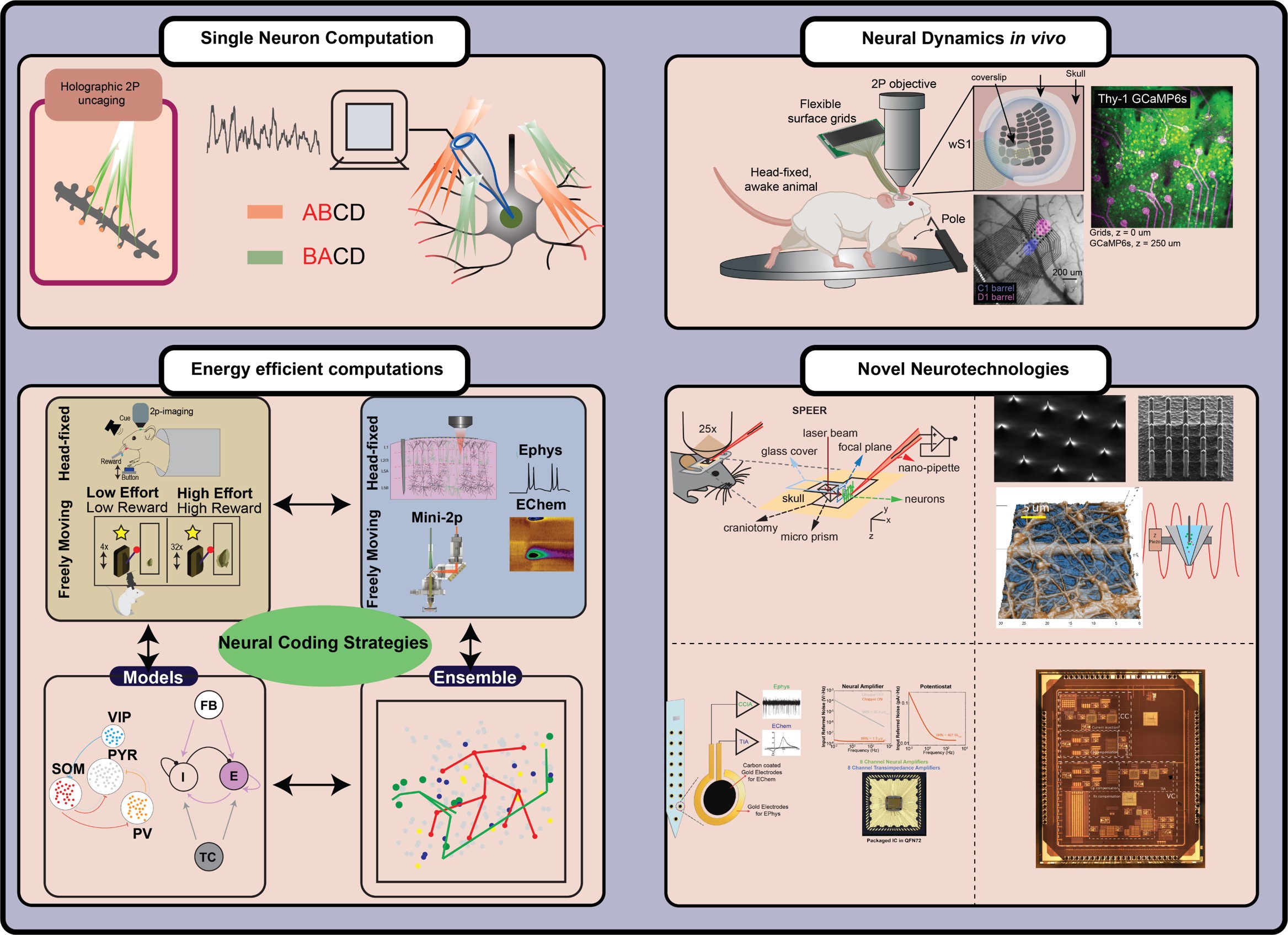 Read more: NanoNeurotechnology Lab – Krishna Jayant